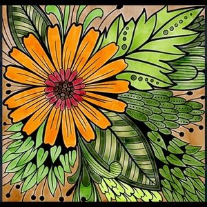 Meet your Posher, Dorothy